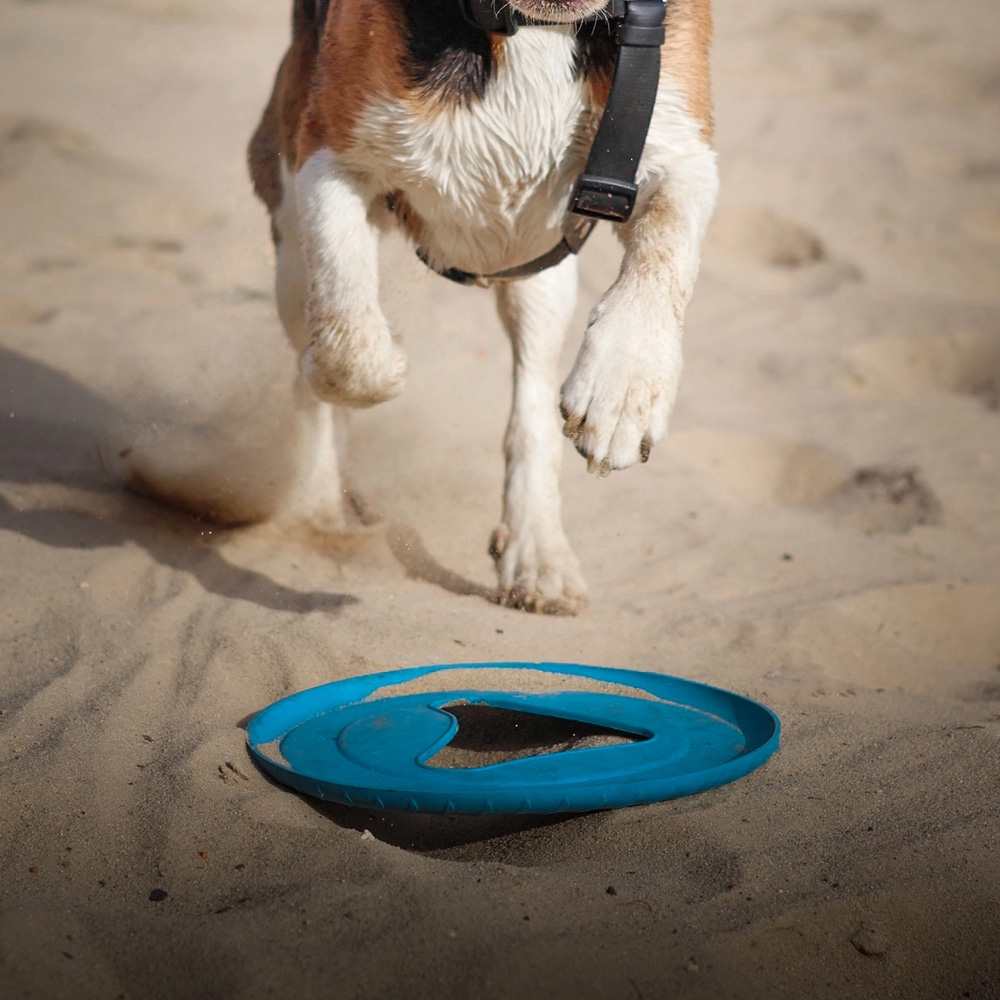 Fiboo Frisboo Niebieski dla Psa Frisbee Dysk do Aportowania Zabawka